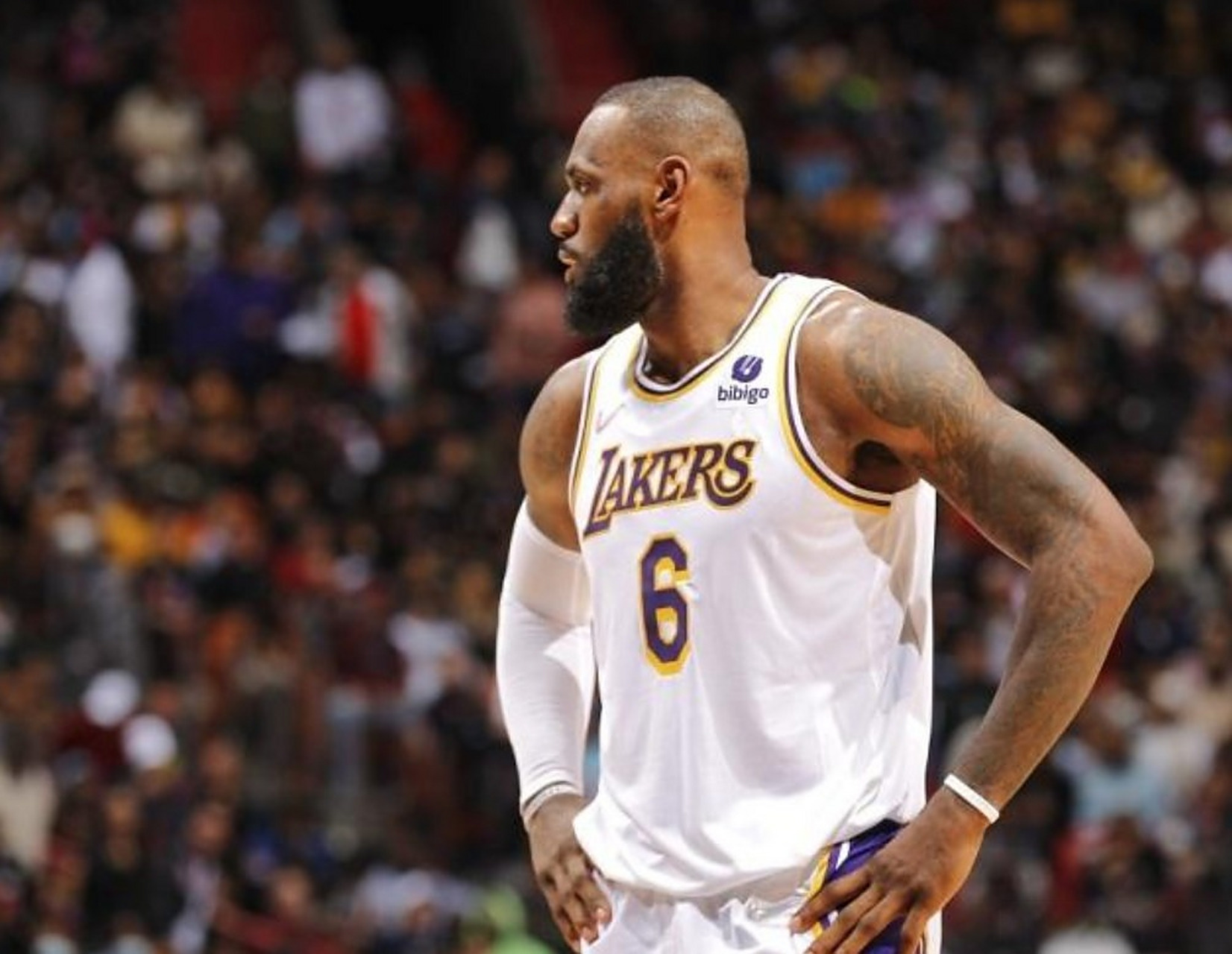 金州勇士发布备战花絮，赛前迎来里程碑，NBA季后赛任务艰巨，临场指挥获称赞的简单介绍